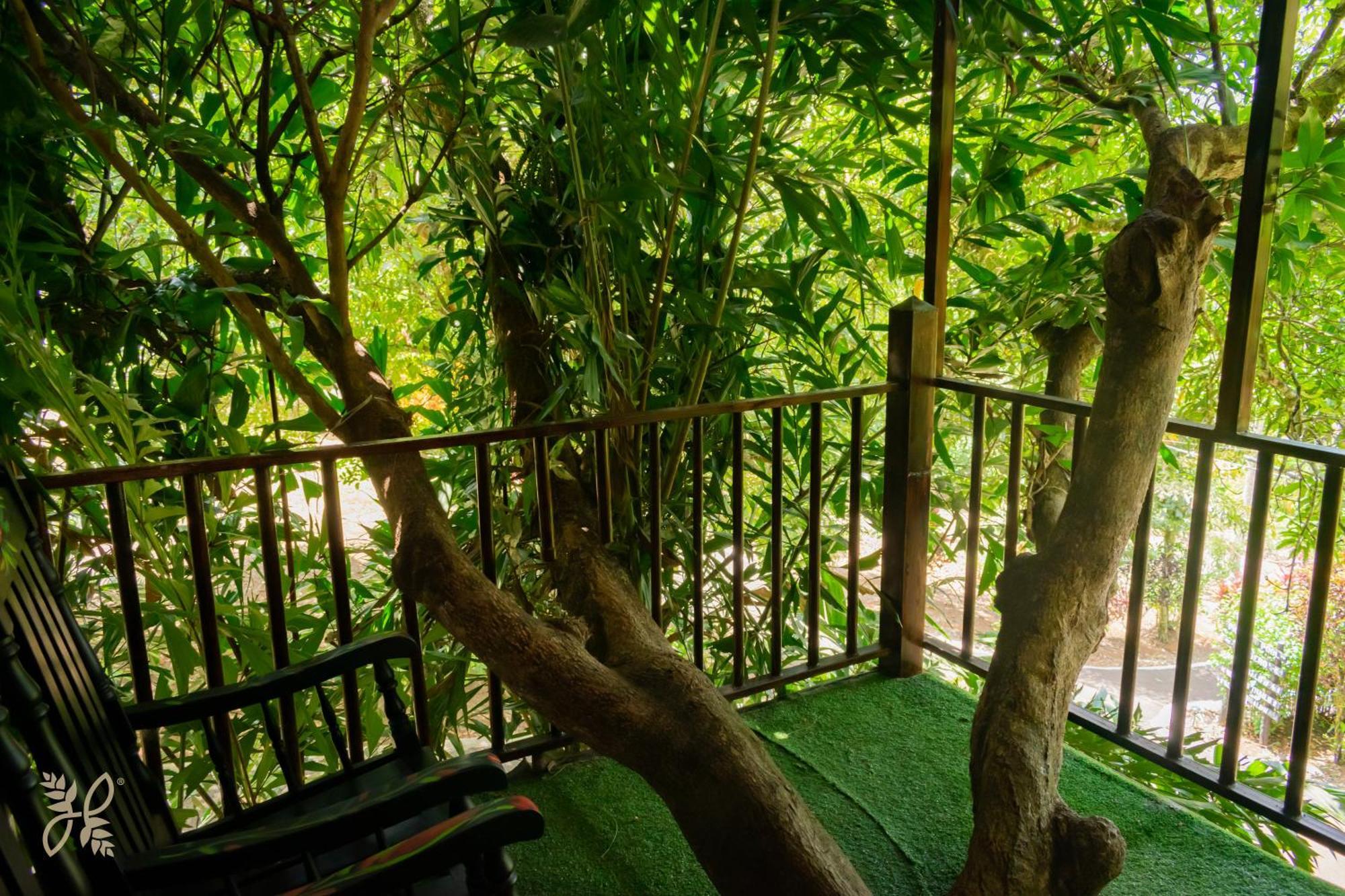 Hotel Heliconias Nature Inn & Hot Springs La Fortuna 外观 照片